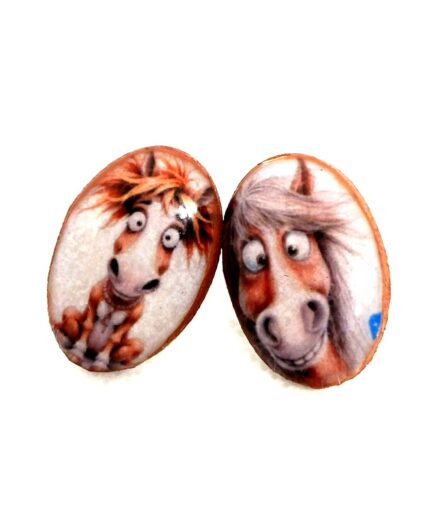 B21 Small Horses